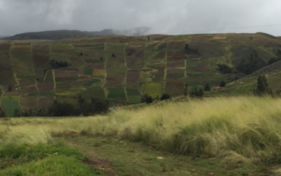 Programa de Prevención – Plan de Aplicación y Seguimiento Ambiental PPM-PASA “Construcción Riego Tecnificado Grupo 1 y Grupo 2, Colque Joya Bajo y Cochimita” – Tiraque